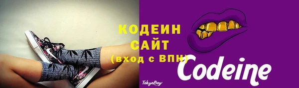 гашик Ветлуга