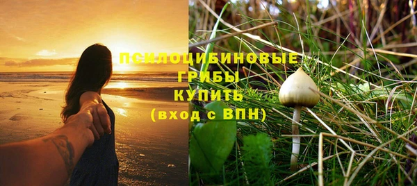 ECSTASY Осинники