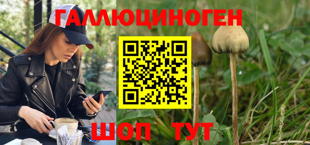 Галлюциногенные грибы мухоморы Анжеро-Судженск