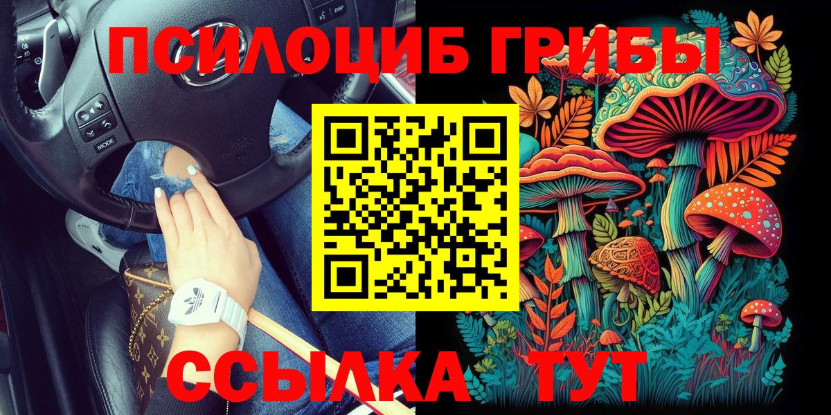 Псилоцибиновые грибы Psilocybine cubensis  Вход с VPN  Анжеро-Судженск  Псилоцибиновые грибы Psilocybe 