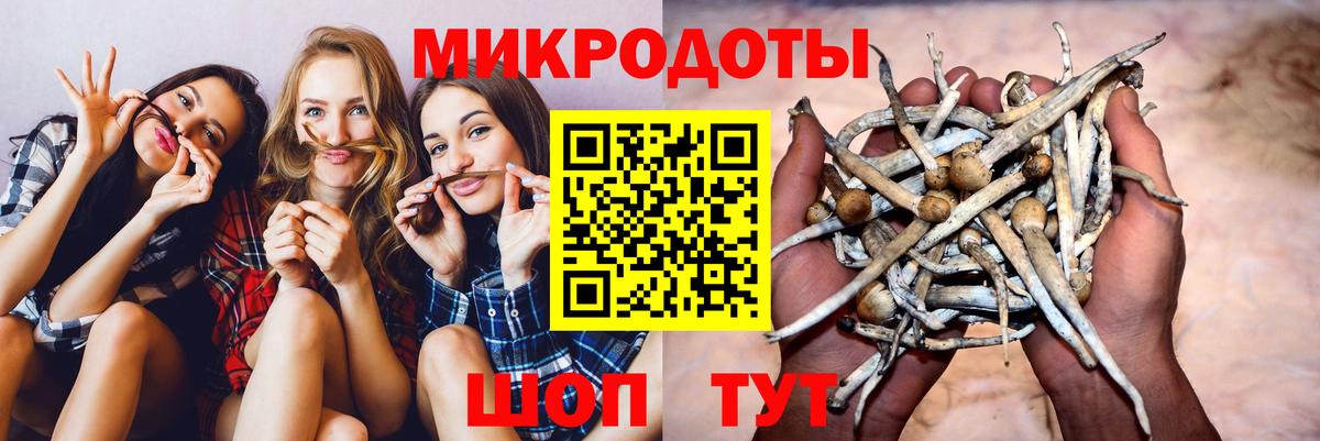 Анжеро-Судженск  Псилоцибиновые грибы мухоморы  Вход с VPN 